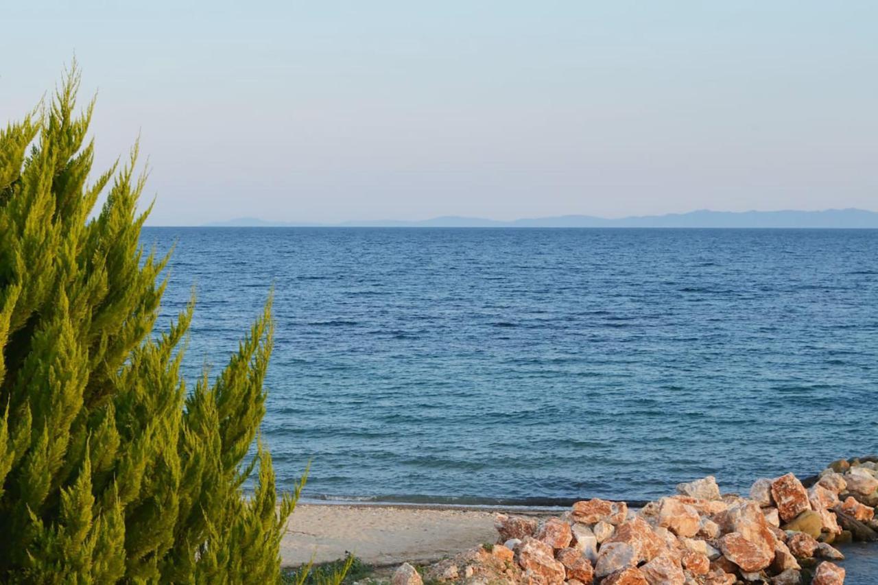Lemon Beach Front Apartment, Nikiti 외부 사진
